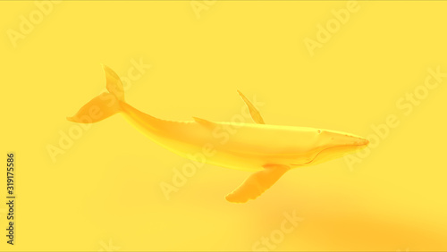 Yellow Humpback Whale