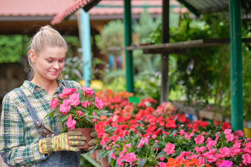 Young woman gardening in greenhouse.She selecting flowers.