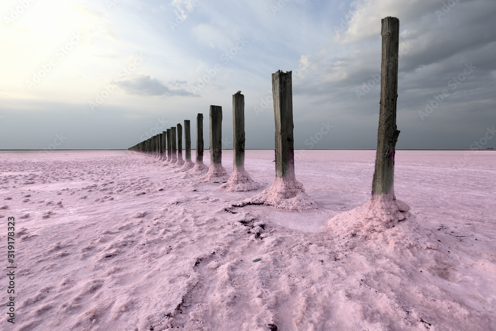 old piles in pink salt lake near Azov Sea, Ukraine old piles in pink salt lake near Azov Sea, Ukraine