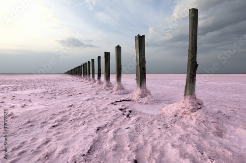 old piles in pink salt lake near Azov Sea, Ukraine