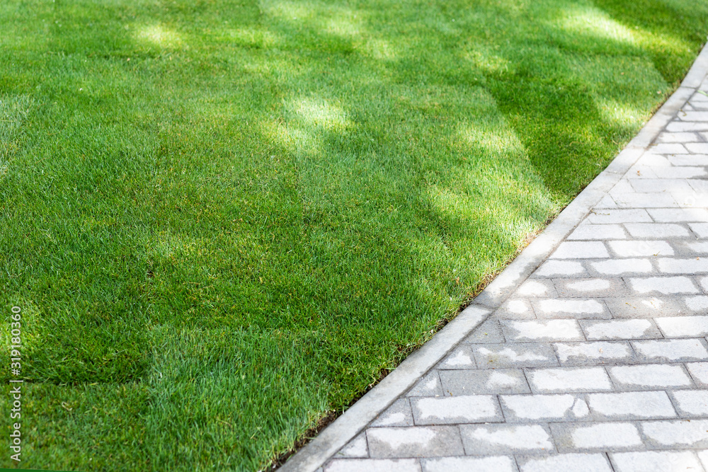 Φωτογραφία Straigh line of new freshly installed green rolled lawn grass carpet along stone pavement sidewalk at city park or backyard on bright sunny day