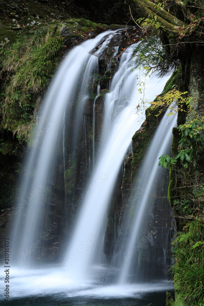 Obraz premium 河津七滝 初景滝