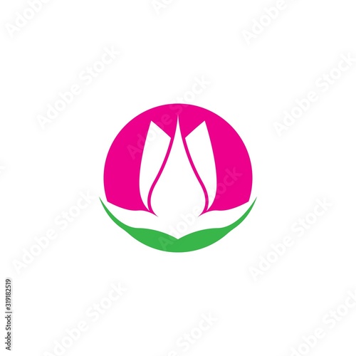 Vector illustration icon of beautiful tulips with white background