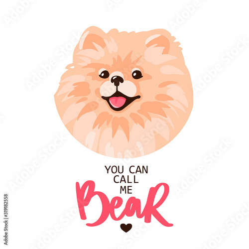 Pomeranian Spitz puppy portrait isolated on white background.