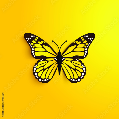beautiful yellow butterfly on the background