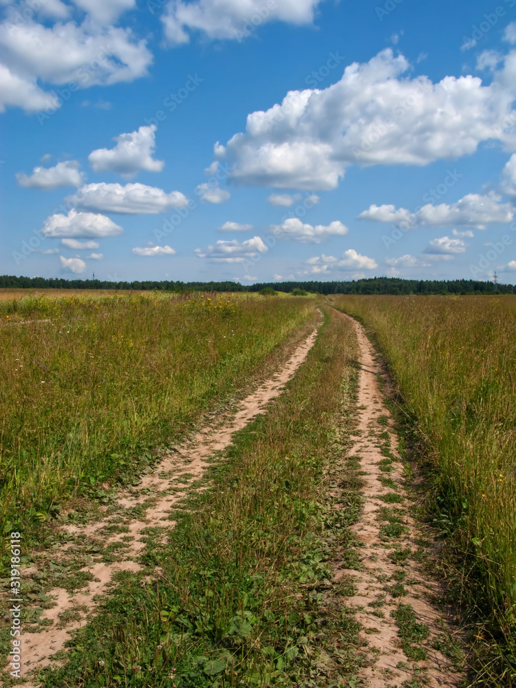 A dirt road leads to the horizon and summer wildflowers bloom around it. There are white clouds in the blue sky.