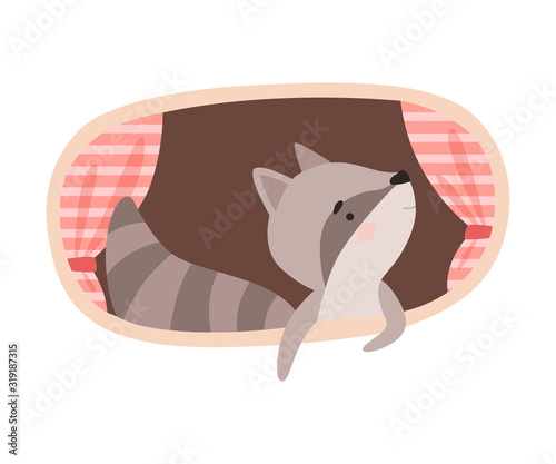 Funny Raccoon Peeped Out From Tree Hollow Vector Illustration