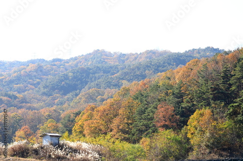 아름다운 한국의 가을 단풍