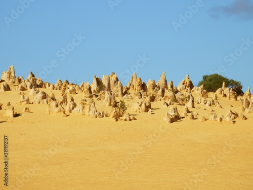 Désert des Pinacles Australie 