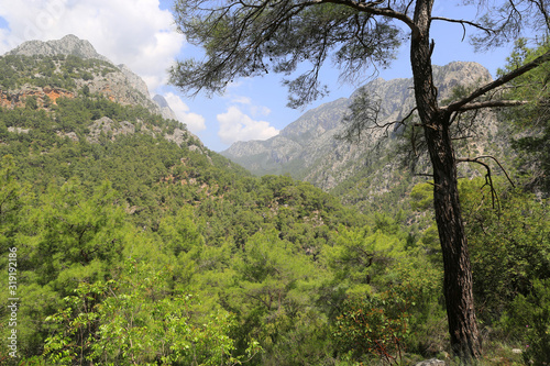 mountain landscape in turkey