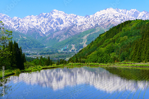 初夏の青鬼地区。水田の映る北アルプス、白馬三山。白馬、長野、日本。5月下旬。 photo