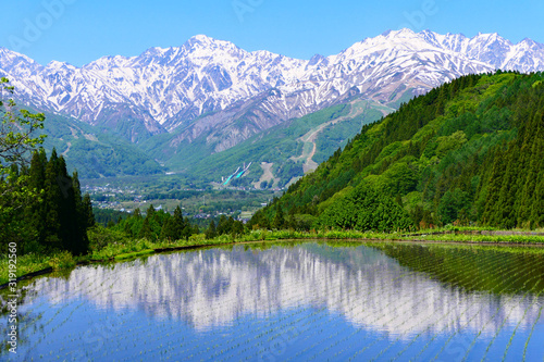 初夏の青鬼地区。水田の映る北アルプス、白馬三山。白馬、長野、日本。5月下旬。