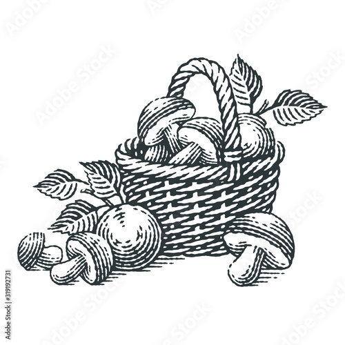 Basket of mushrooms. Hand drawn engraving style illustrations. 