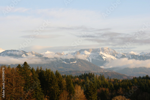 Alpes suisses se découpant derrière la forêt