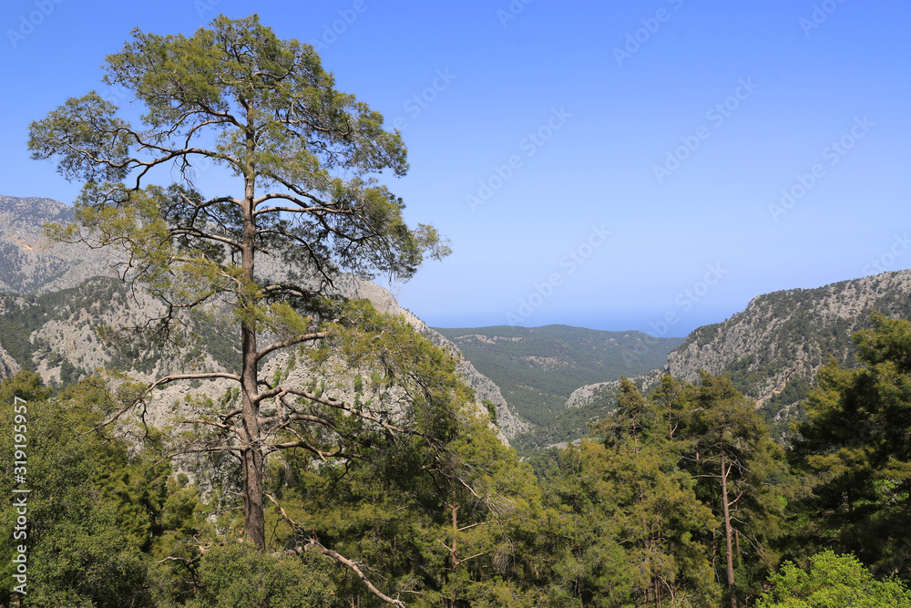 nice view to seaside from famous tourist way in turkish mountains