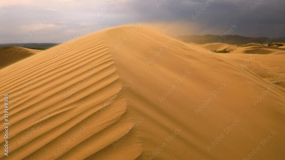 Strong wind in the desert. Sand blows from the dunes. Sahara desert