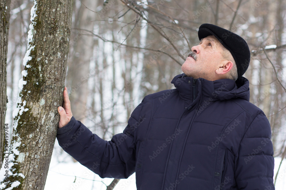 Aged man touching tree stem and looking up in the winter forest Aged man touching tree stem and looking up in the winter forest