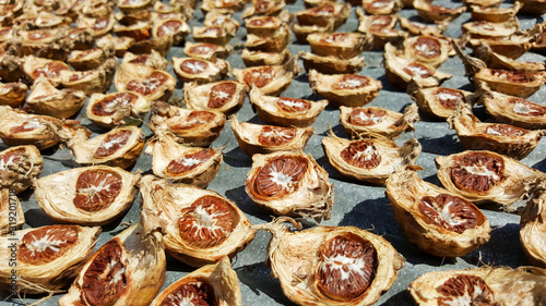 close-up dried areca nut, betel nut, thailand