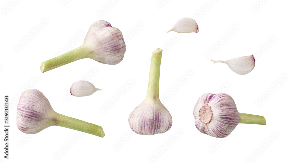 Garlic set isolated on white background with clipping path. Collection of heads and cloves of garlic Garlic set isolated on white background with clipping path. Collection of heads and cloves of garlic