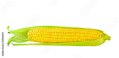 Corn cob with green leaves isolated on white background with clipping path