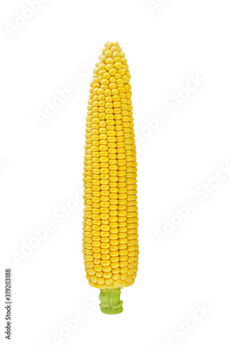 Corn cob or ear isolated on white background with clipping path