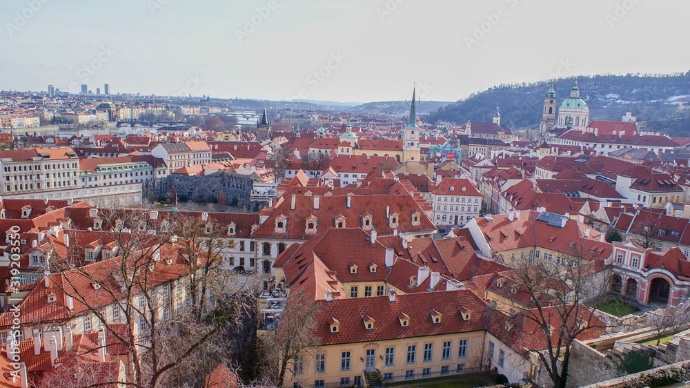 Prague View from the Cathedral St. Vitus to the Vltava, Visit Tourist
