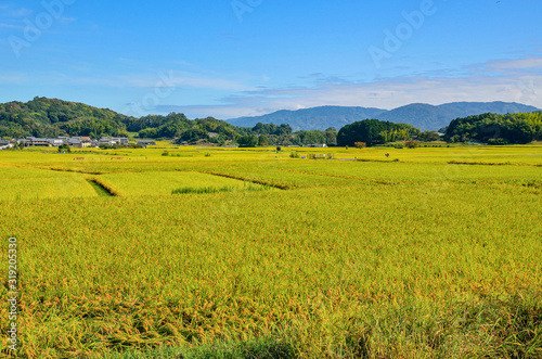 奈良県の明日香村