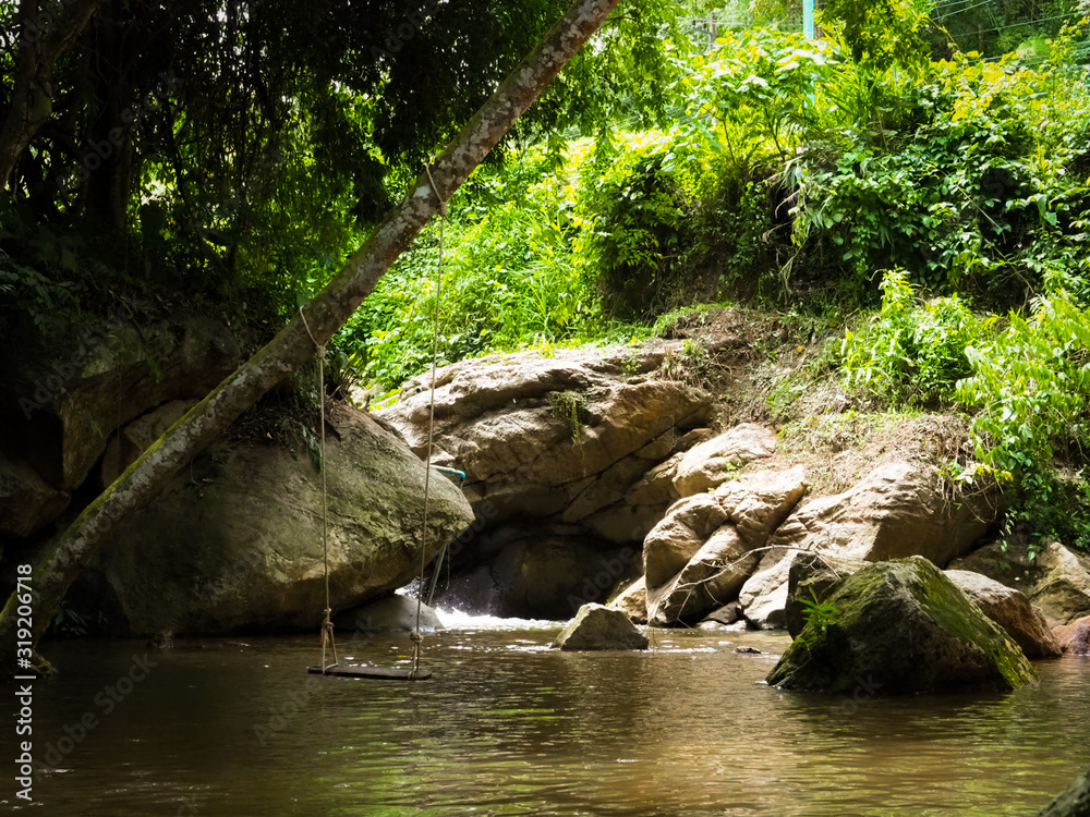 Fototapeta premium Let's nature healing your mind. 