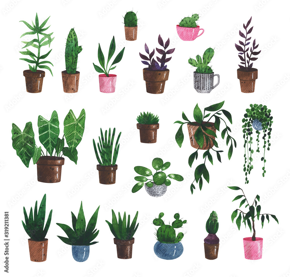 Watercolor set of plants in pots. Cactuses, aloe, succulents, hyacinth, senecio, sansevieria, pilea. Potted plant collection. Houseplant for postcards, print, poster and scrapbooking design Watercolor set of plants in pots. Cactuses, aloe, succulents, hyacinth, senecio, sansevieria, pilea. Potted plant collection. Houseplant for postcards, print, poster and scrapbooking design