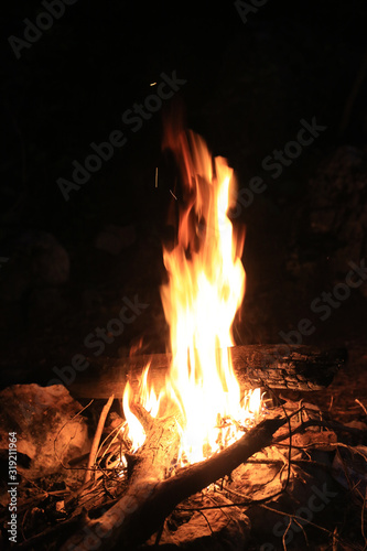 Campfire in night