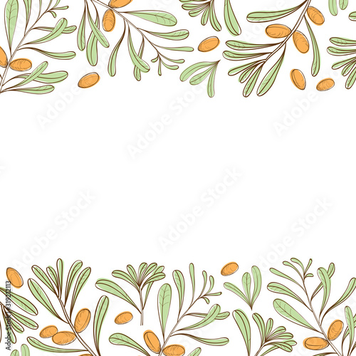 Background with branches of argania for posters, covers and labels for cosmetics. Vector.