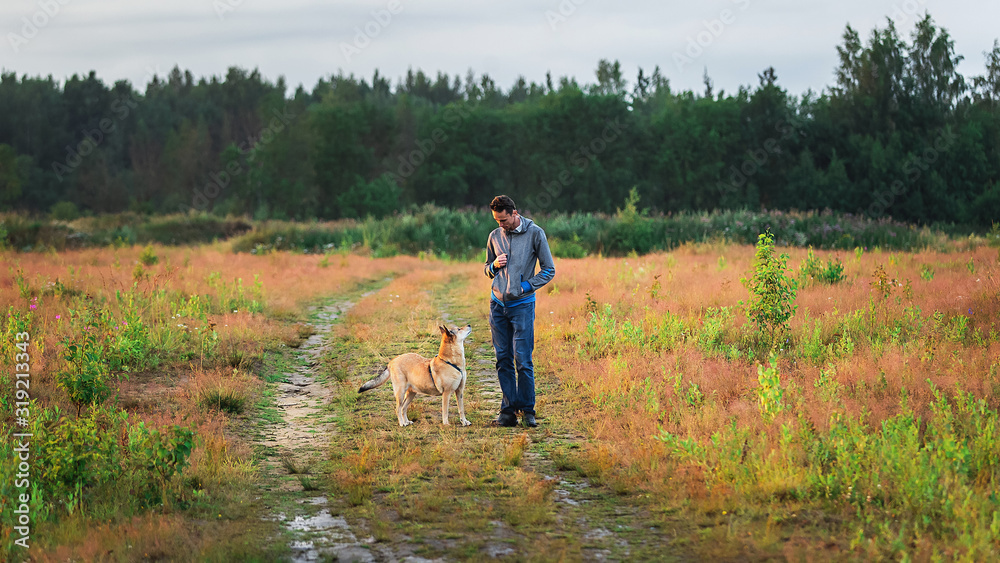 Young guy training dog in countryside at nature