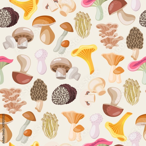 Mushrooms edible vegeterian organic mushrooming seamless pattern, vector illustration. Cartoon champignon and boletus or forest chanterelle and lobster mushrooms isolated on white background.