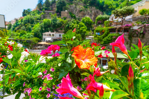 Hibiscus flower in Positano on a spring day
