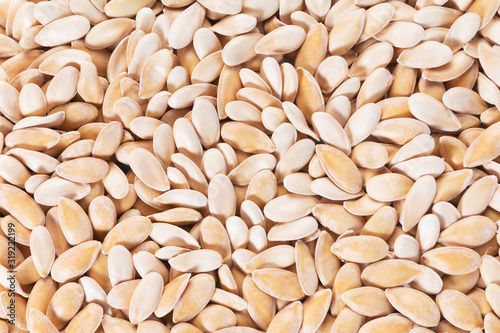 Melon seeds vegetable pattern. Top view. Food background.