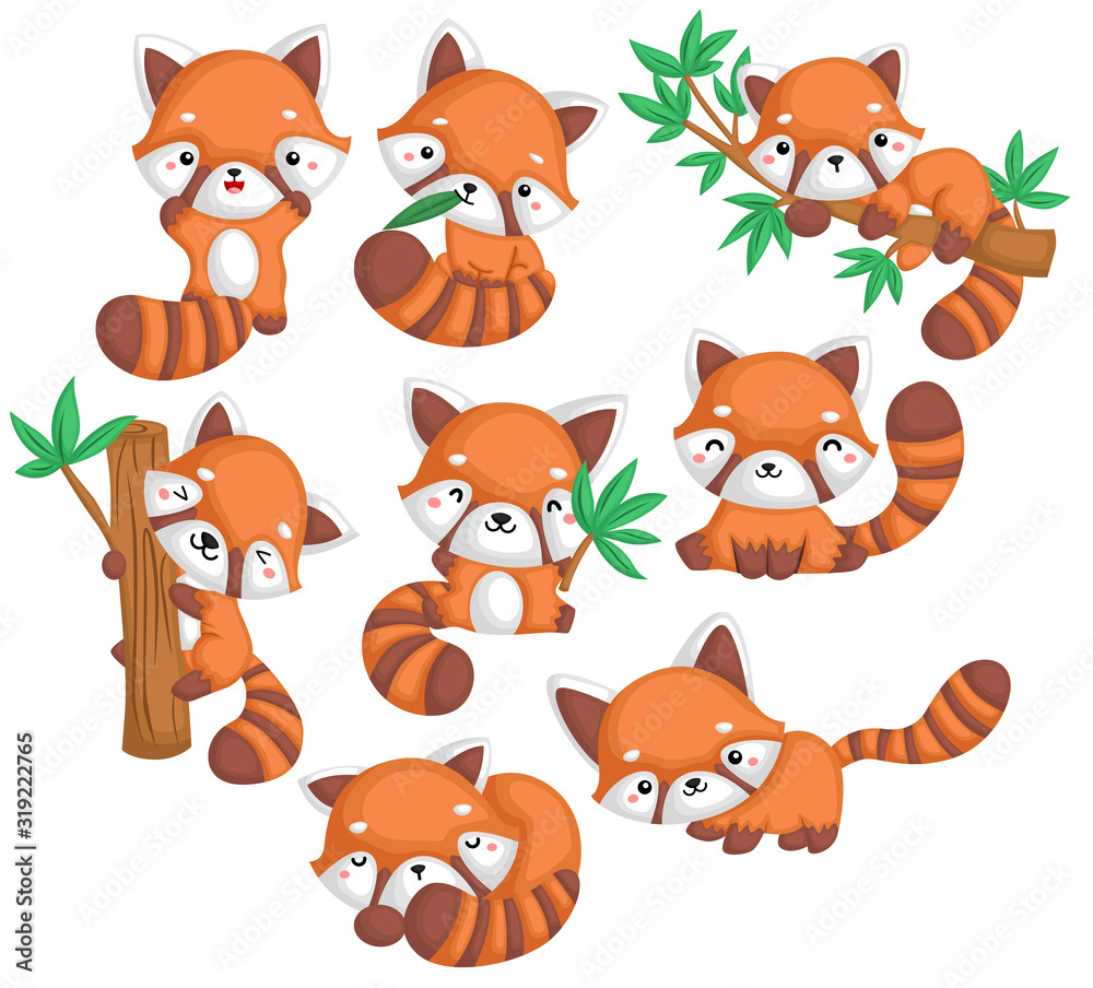 a vector of many red pandas in many poses