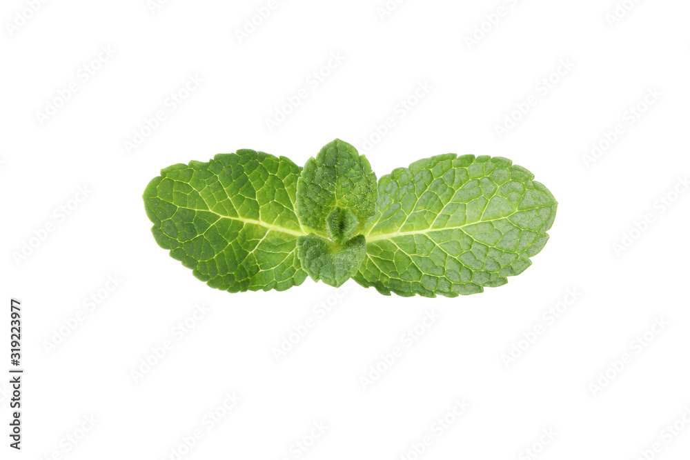 Fresh mint leaves isolated on white background Fresh mint leaves isolated on white background