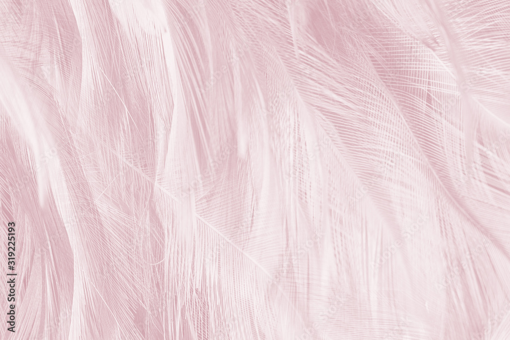 Beautiful lines violet - mauve mist colors tone feather texture background, trends color Beautiful lines violet - mauve mist colors tone feather texture background, trends color