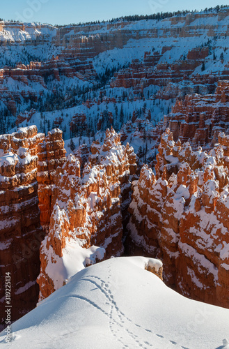 Bryce Canyon National Park Utah Scenic Winter Landscape