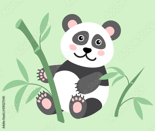 Cute panda