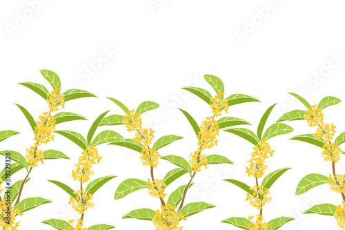 Flowering tree background and borders with fragrant tea olive, sweet olive or osmanthus fragrans.  Floral tree frame border seamless pattern. Great for wallpaper, gifts, textile,  packaging design.
