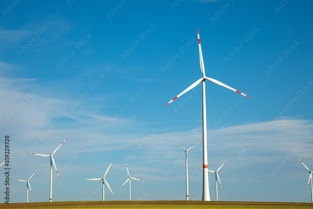 Fototapeta premium Green Energy Beauty Landscape With Group of Windmill at Sunny Day