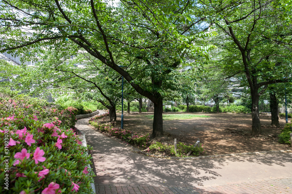Fototapeta premium 加賀西公園（東京都板橋区）