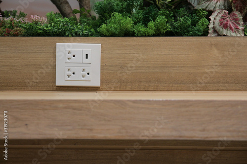 Plug Socket on the Wall with Pastel Background/Flower