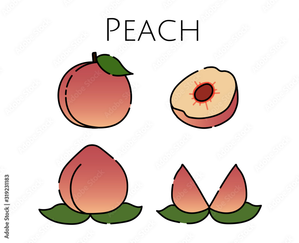 桃のイラスト 果物 フルーツ モモ ピーチ Stock Vector Adobe Stock