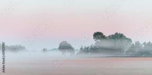 Foggy rural landscape at dawn.