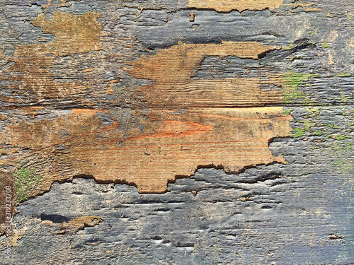 Old wooden painted blue rustic background, top view