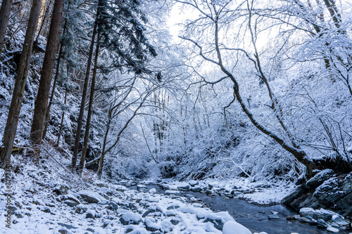 檜原村 龍神の滝付近の雪景色