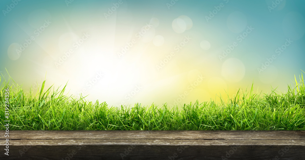 Fototapeta Naturalne tło wiosennego ogrodu ze świeżej zielonej trawy z jasnym błękitnym słonecznym niebem z drewnianym stołem, na którym można umieścić wycięte produkty.