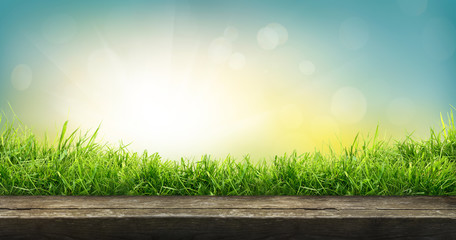 A natural spring garden background of fresh green grass with a bright blue sunny sky with a wooden table to place cut out products on.
